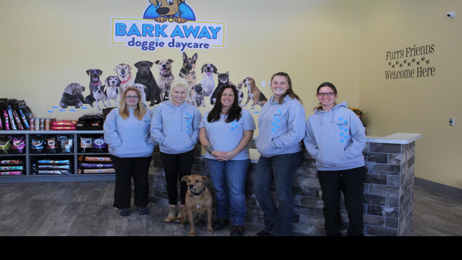 Bark Away Doggie Daycare Opens In Kenosha Business Kenoshanews Com