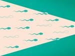 Male birth control options are in development, but a number of barriers still stand in the way