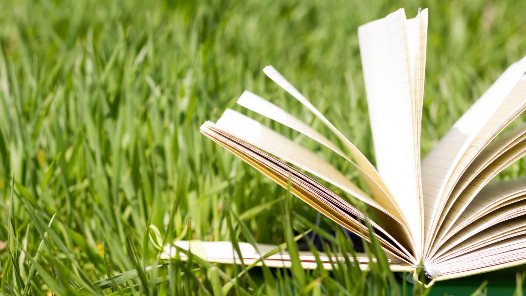 Books Of The Week From Romila Thapar S Voices Of Dissent To The Best Stories Of Dhumketu Our Picks Art And Culture News Firstpost