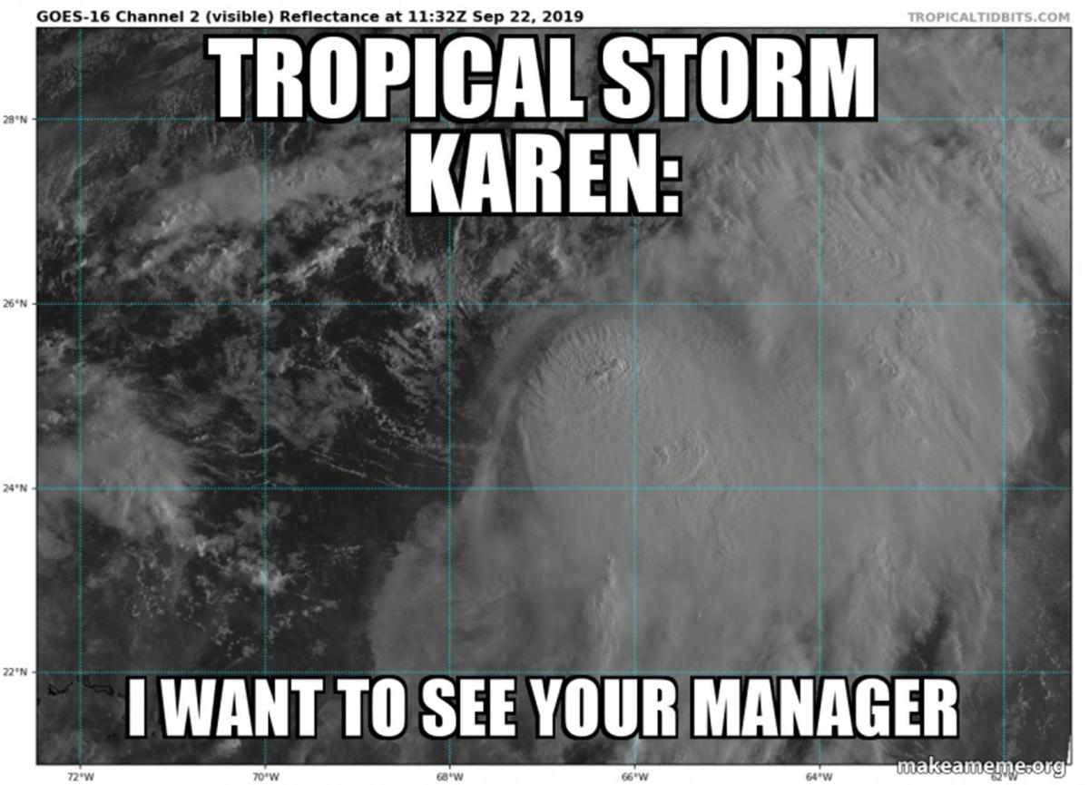 Snyder Our Council Of Karens Discuss Life As An Internet Meme Local News Kenoshanews Com Snyder Our Council Of Karens Discuss Life As An Internet Meme Local News Kenoshanews Com