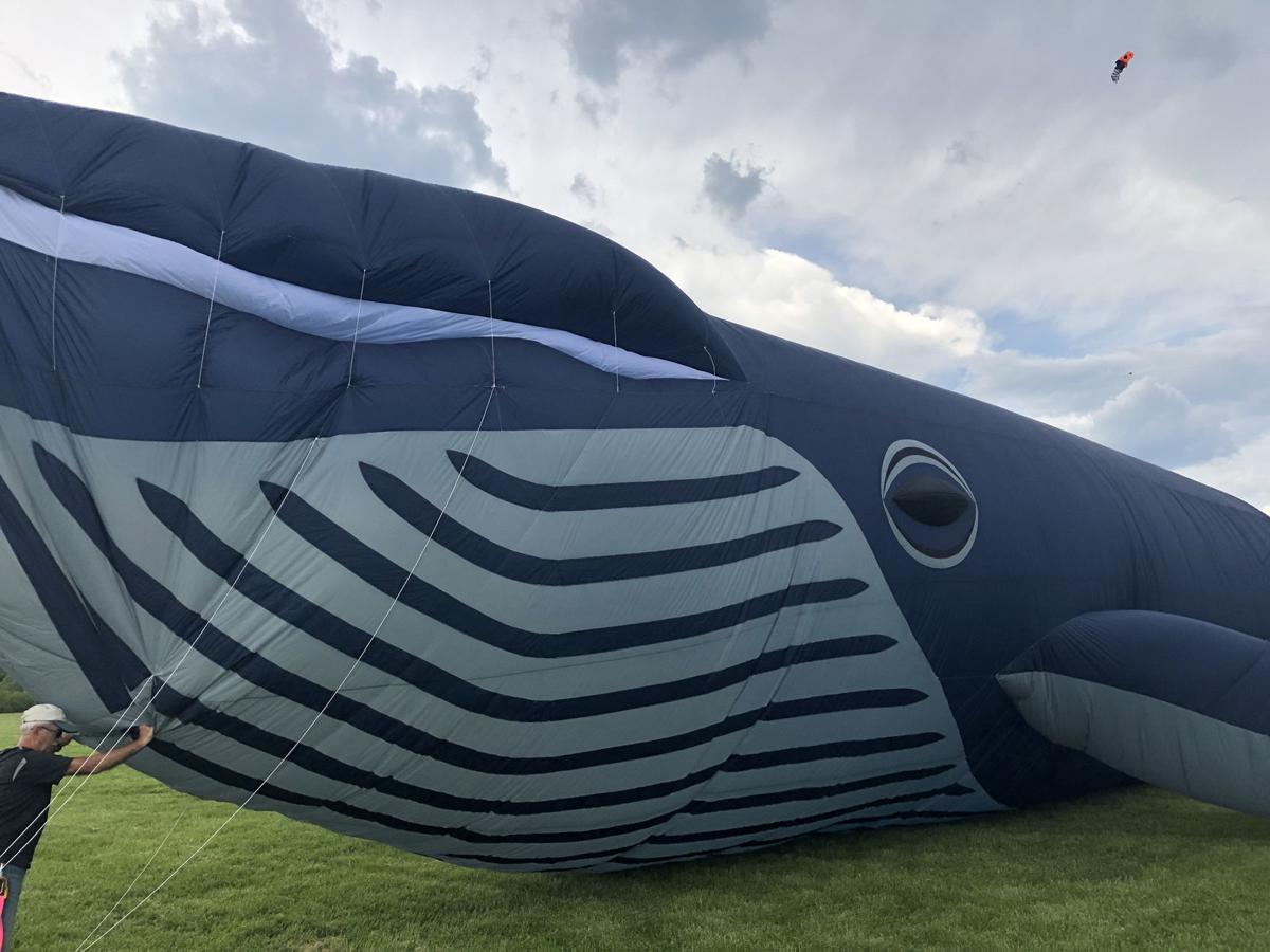 Outta Sight Kite Flight returns to Kenosha Events