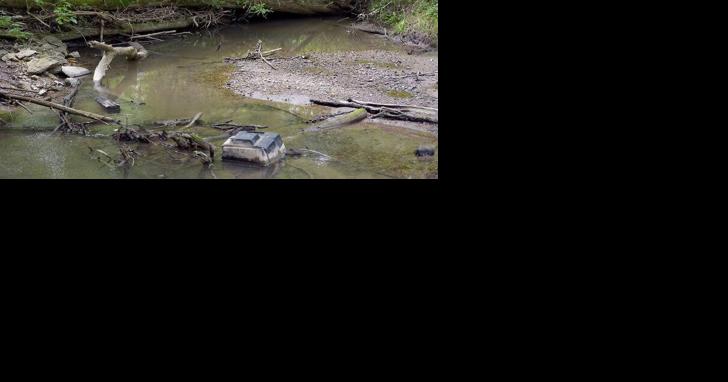 Root-Pike WIN promotes statewide `Stormwater Week' - Vimarsana News