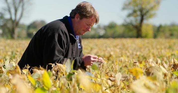 UK’s Bradley helps farmers fight costly crop diseases