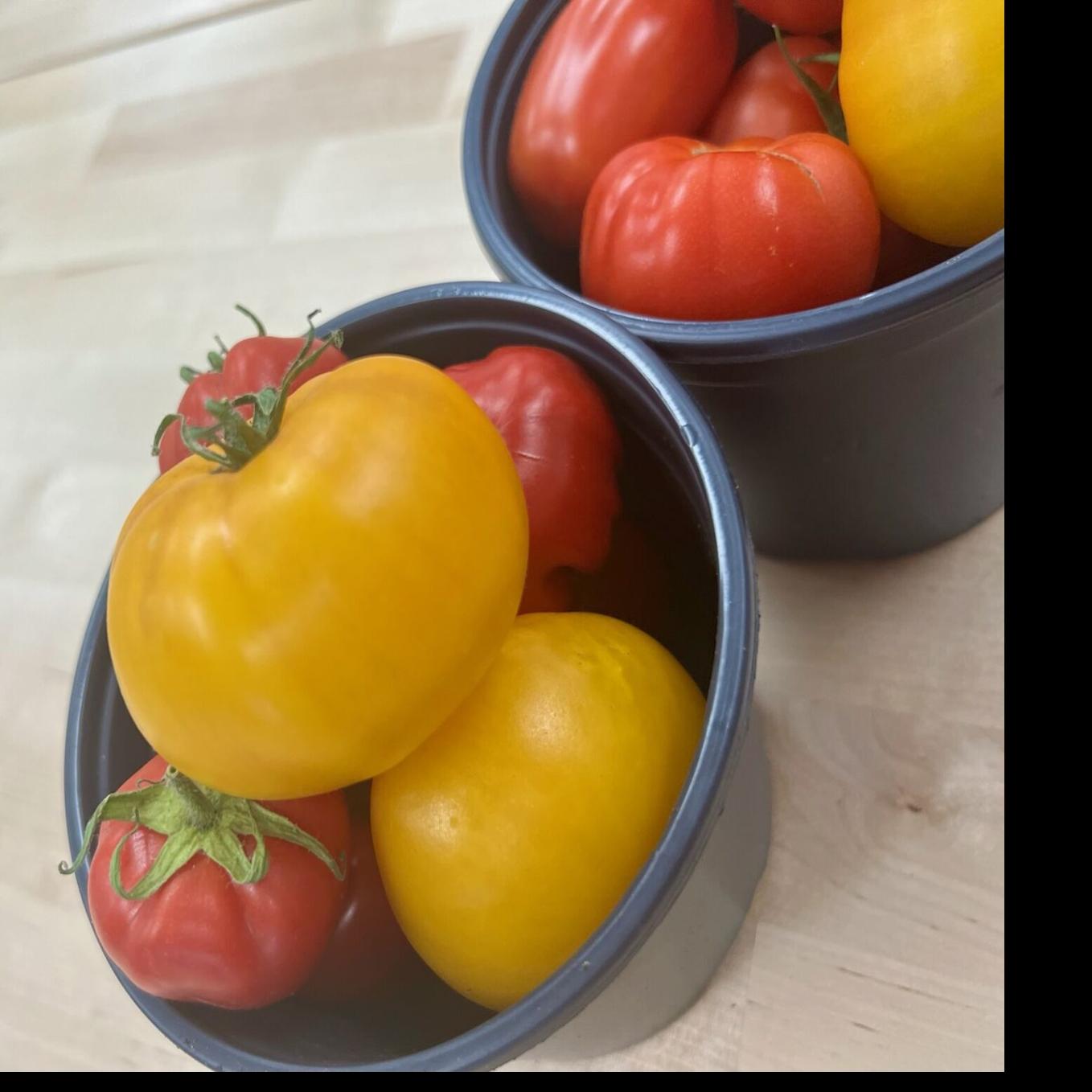 Obituaries This week Obituaries Kentucky New Era(00)