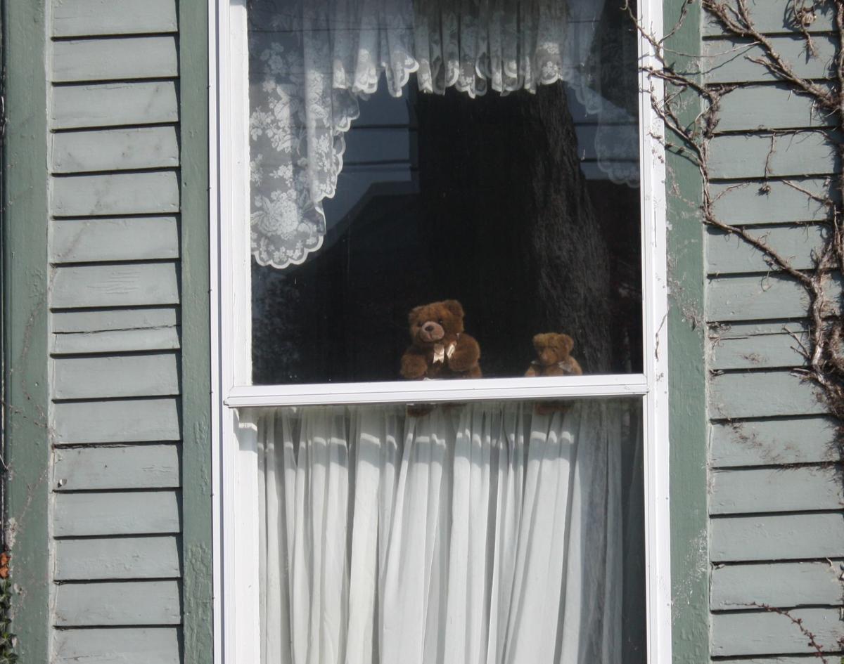 Bear Hunt photo 2