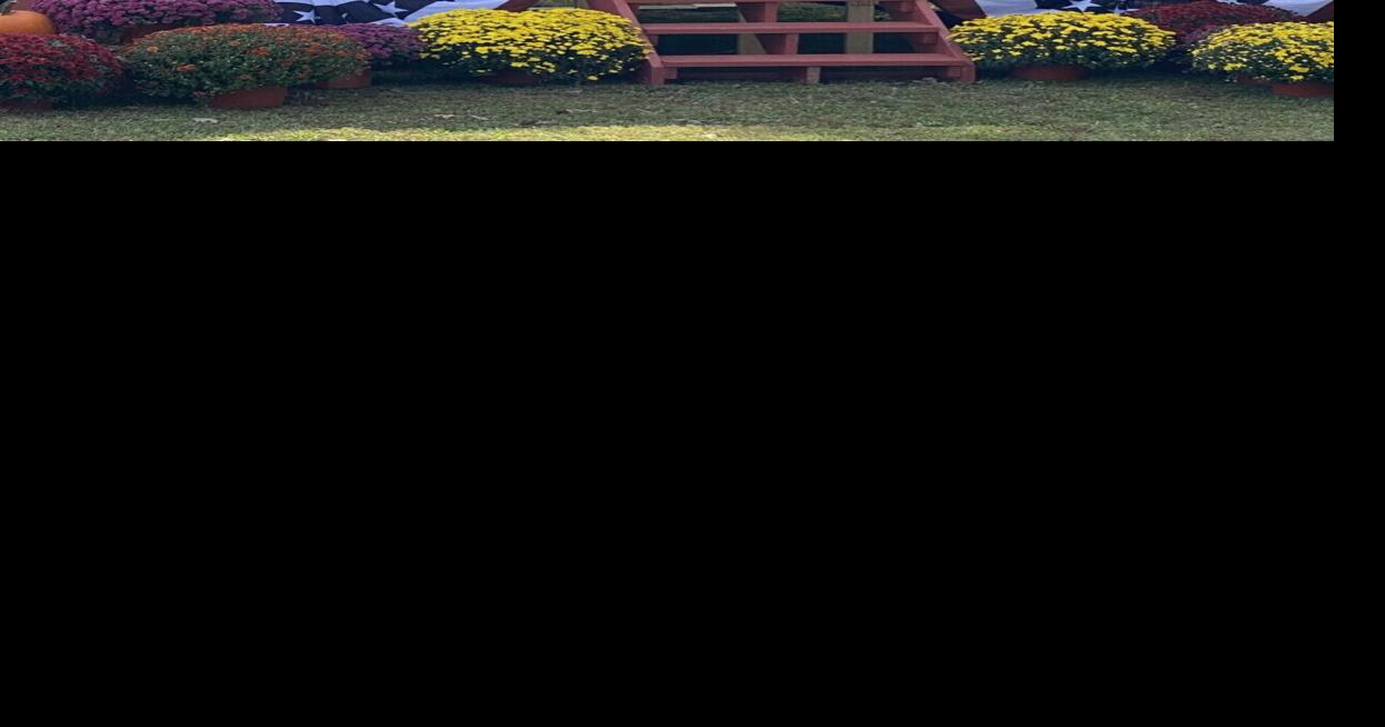 Bluegrass on Lake Beshear celebrating 10 years News Kentucky New Era