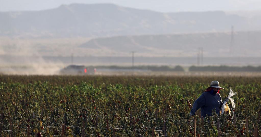 Farmworkers sue over Trump policy cutting wages