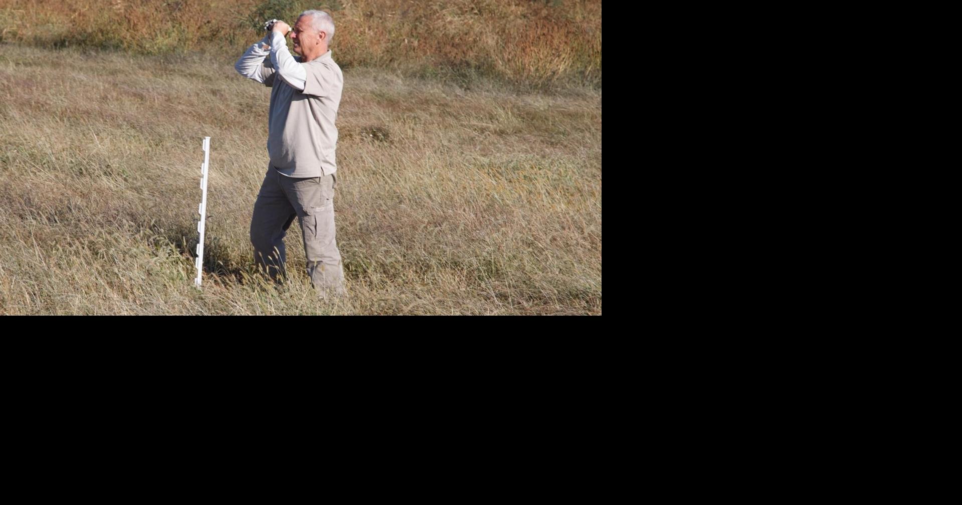Public helps UK scientists uncover what backyard hawks really like to eat