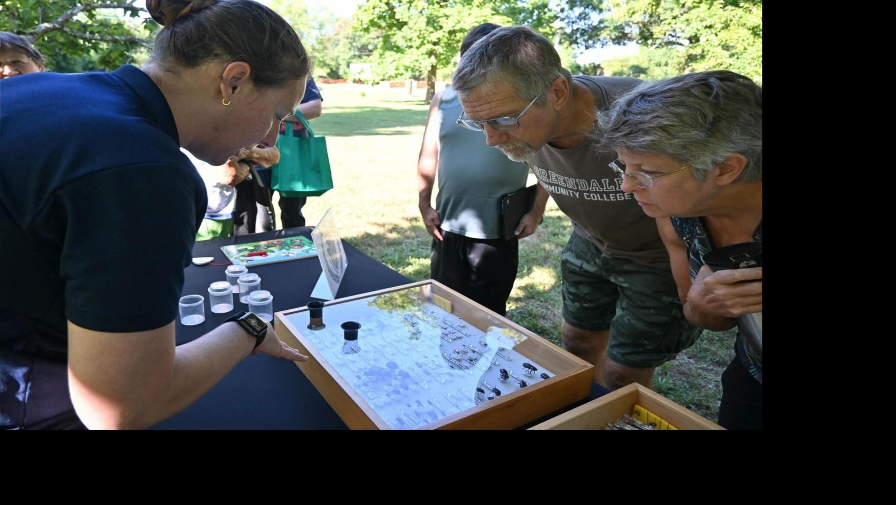3rd annual Hummingbird Festival considered success