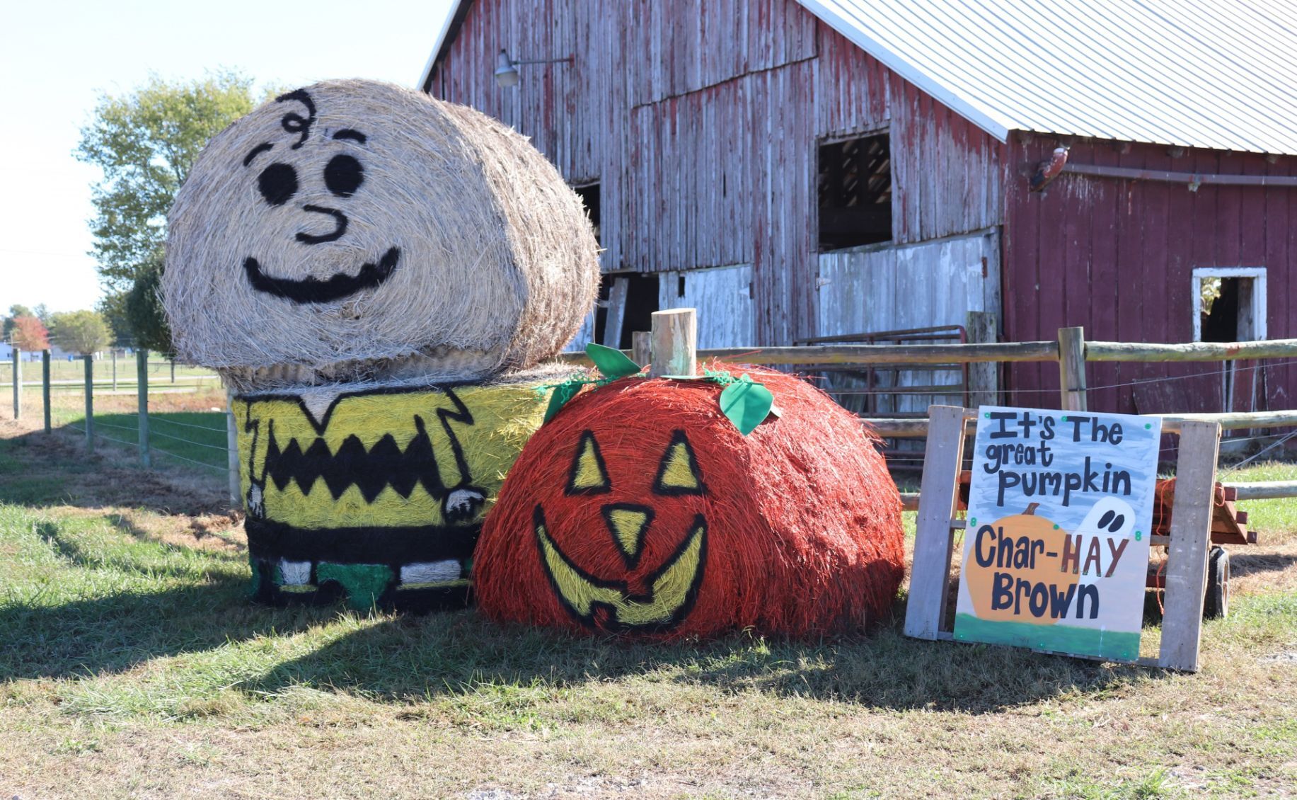 Hay hay hay Winners announced in inaugural 4 H bale trail