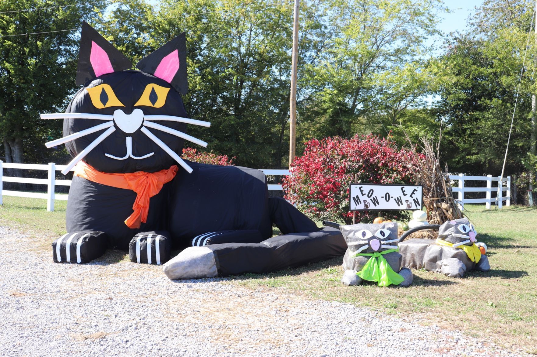 Hay hay hay Winners announced in inaugural 4 H bale trail