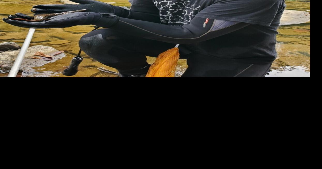 From mussels to mudpuppies, UK Forestry and Natural Resources chair is performing his dream research