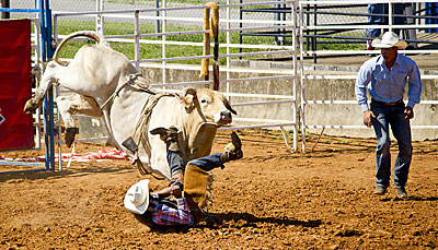 Special Needs Students Experience Thrill Of Rodeo Kentucky New Era