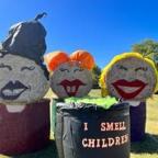 Local Bale Trail back again - Vimarsana News