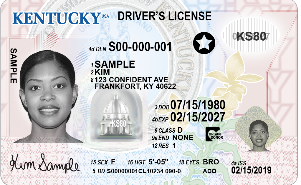 drivers license campbell county kentucky