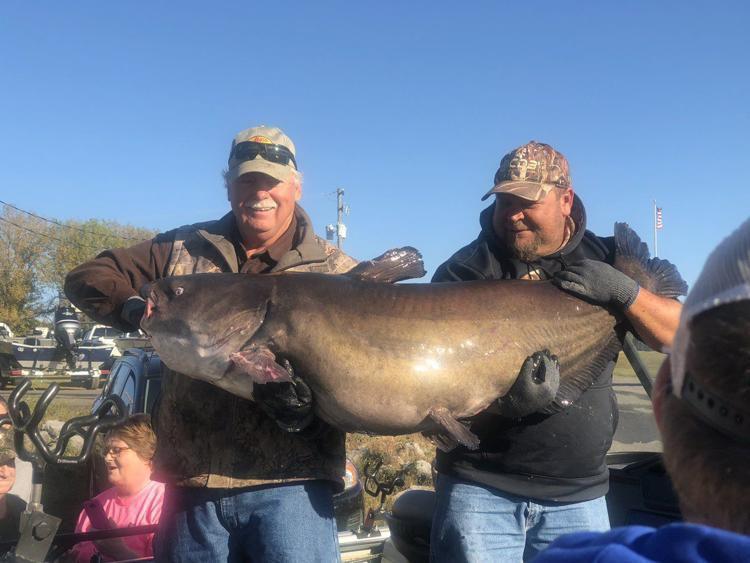 Man Hauls In State Record Blue Catfish Ap Kpns Kentucky New Era