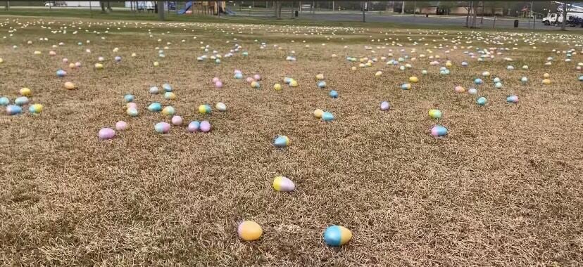 2,500 join in night time egg hunt, News