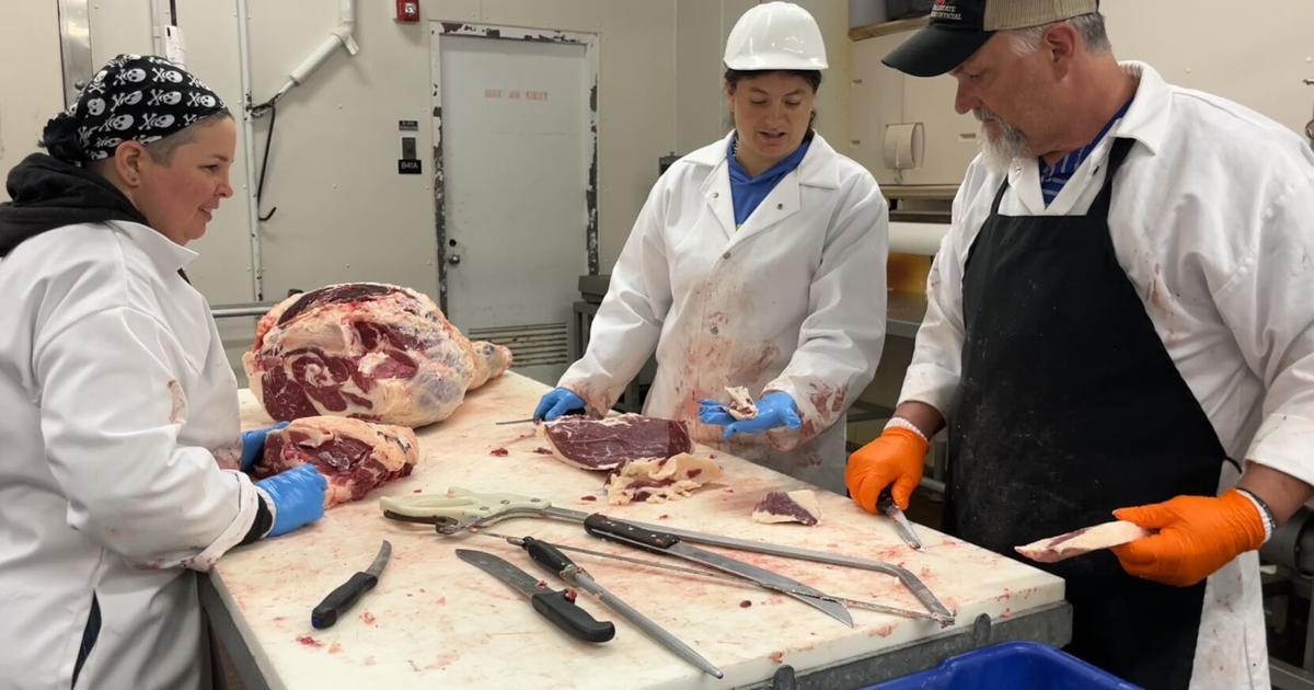 Meat Cutter Lesson Meet the Meat Cutting School: UK teaches skills to improve industry ...