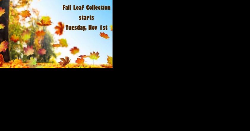 HSWE annual leaf collection returning - Vimarsana News