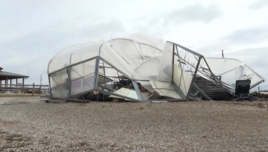 Harvestville Farms, others cleaning up storm damage in Lee County