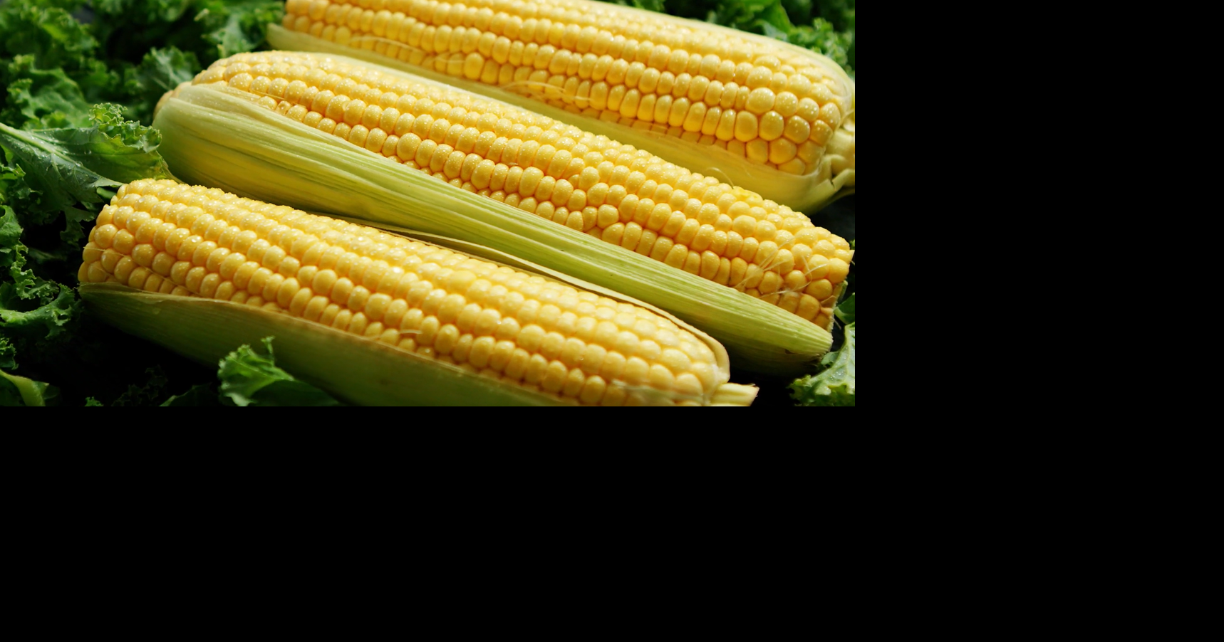 Iowa schools receive funding to buy locally grown foods
