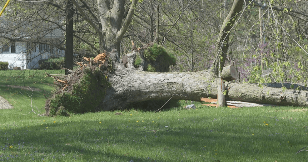 Cleanup efforts continue in Illinois as communities rally after severe ...