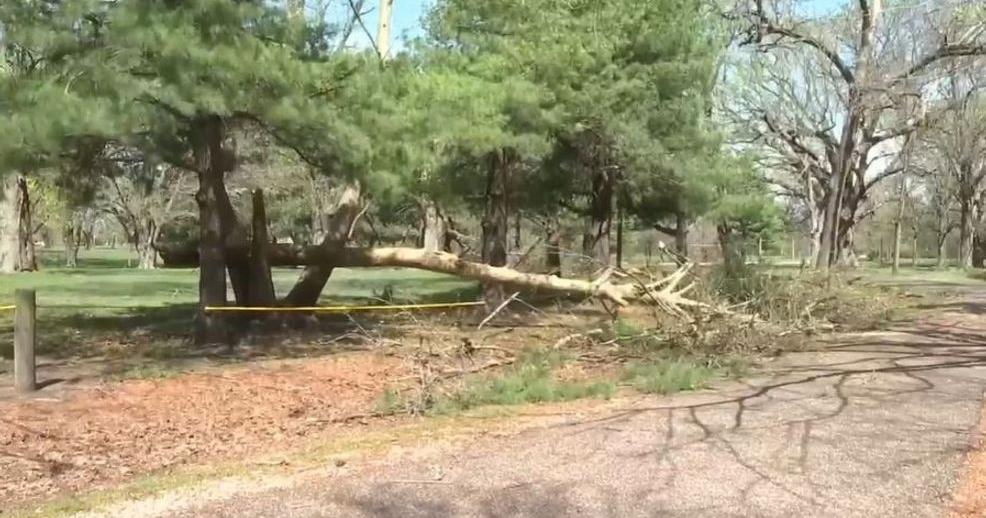 National Weather Service confirms EF0 tornadoes touched down in Tri ...