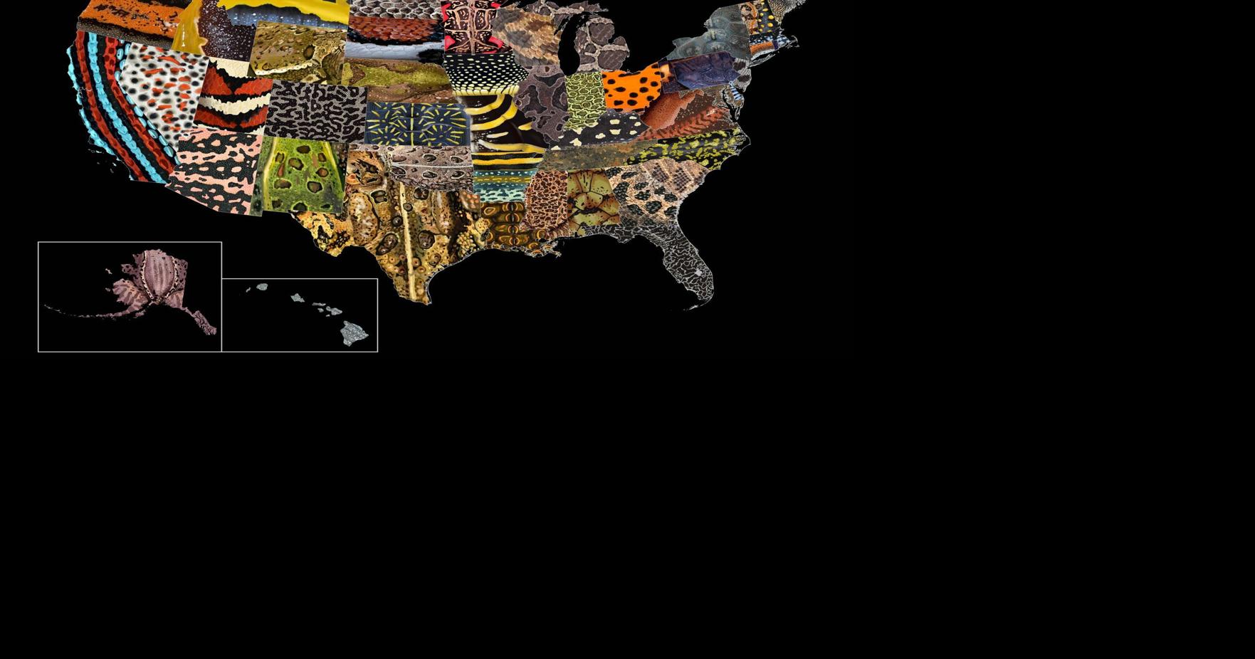 Conservation group’s map highlights cool animals right in your backyard ...