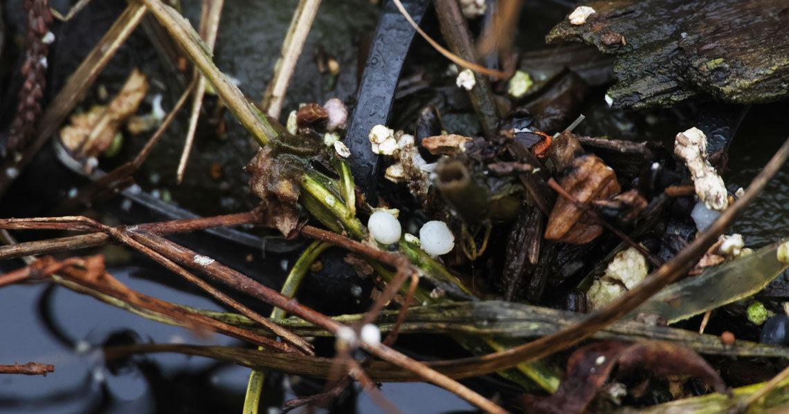 Bill would give Illinois EPA greater oversight of manufacturers’ plastic pellet runoff