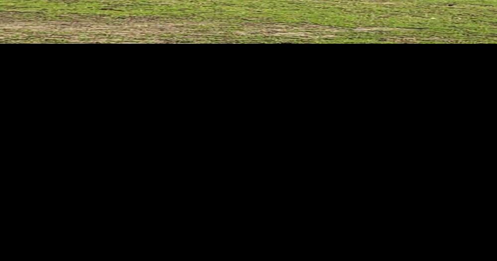 Neuseway Nature Park Campground temporarily closes Local News