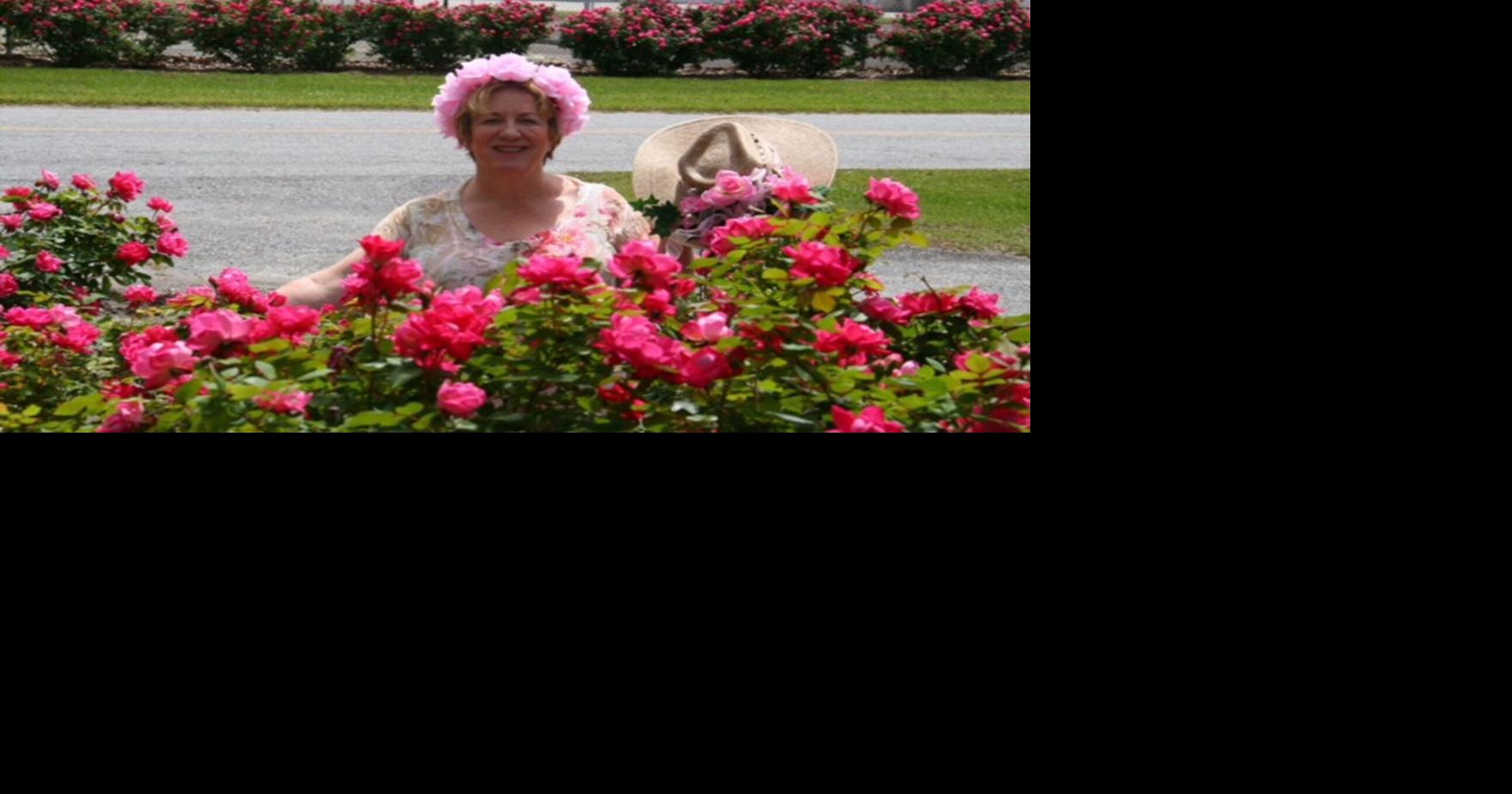 Pink HIll gets ready to blossom Local News