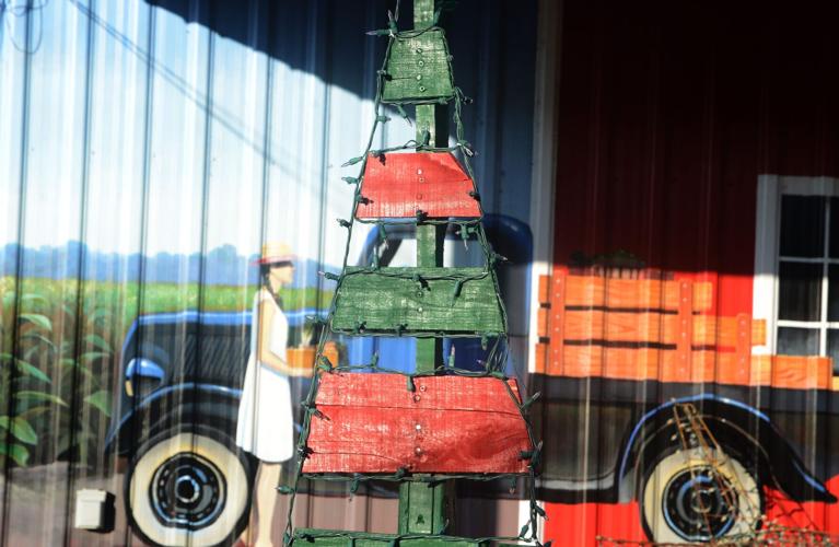 PHOTOS Week in Photos Local News