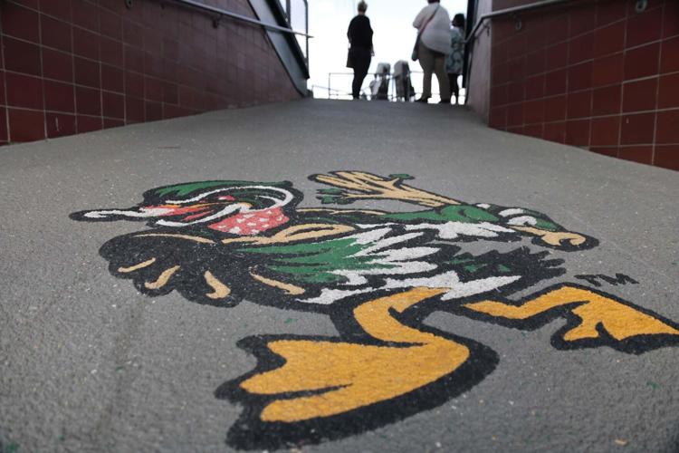 Photos Fans get ready for Wood Ducks baseball Local News