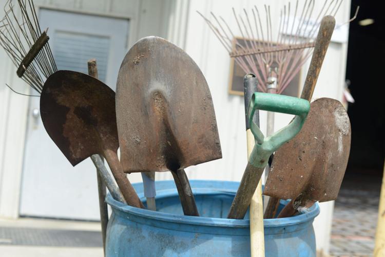 PHOTOS The Landfill Local News