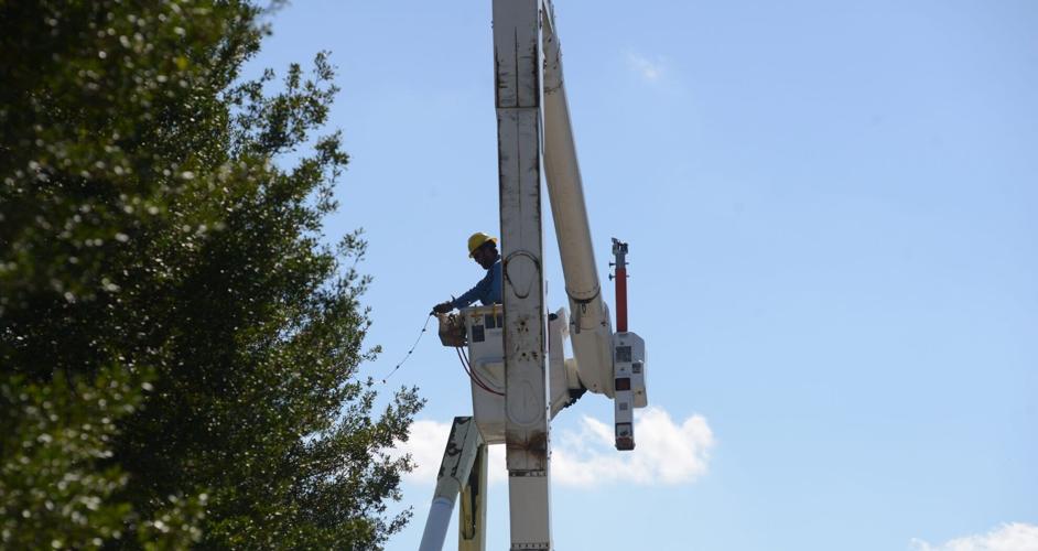 PHOTOS Christmas Tree lights on Queen Street Local News