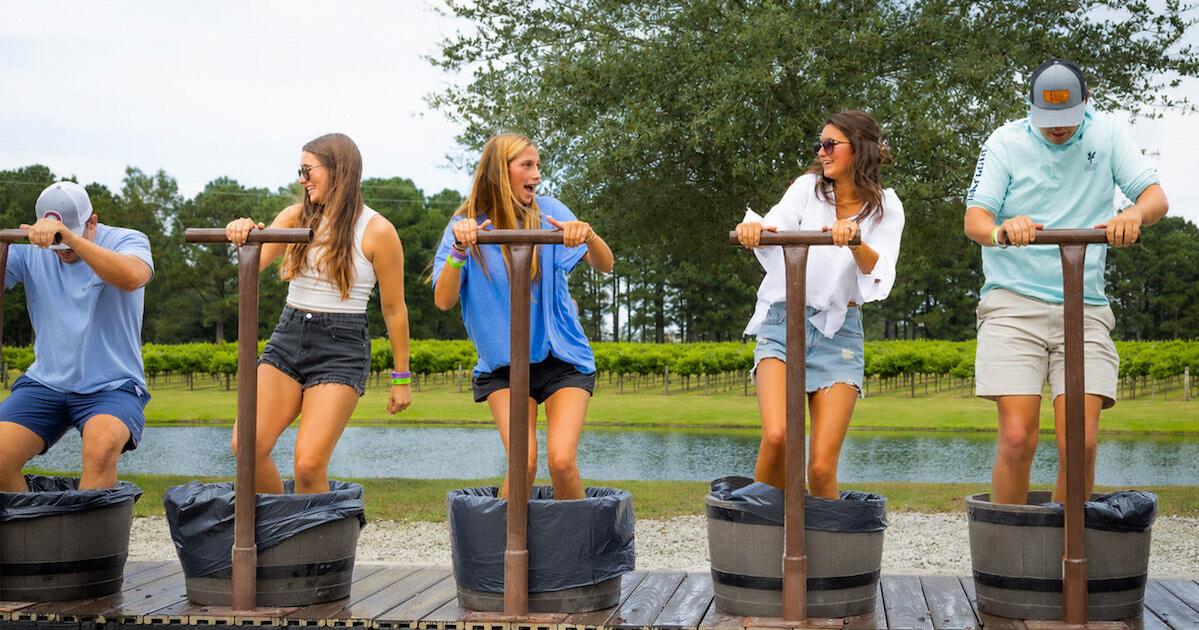 Duplin Winery celebrates 50th year with grape stomp