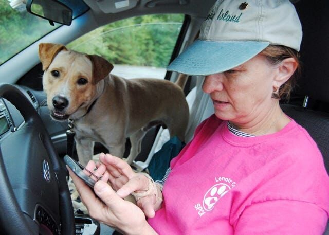 Lenoir County SPCA delivers animals to no-kill shelters | Local News ...