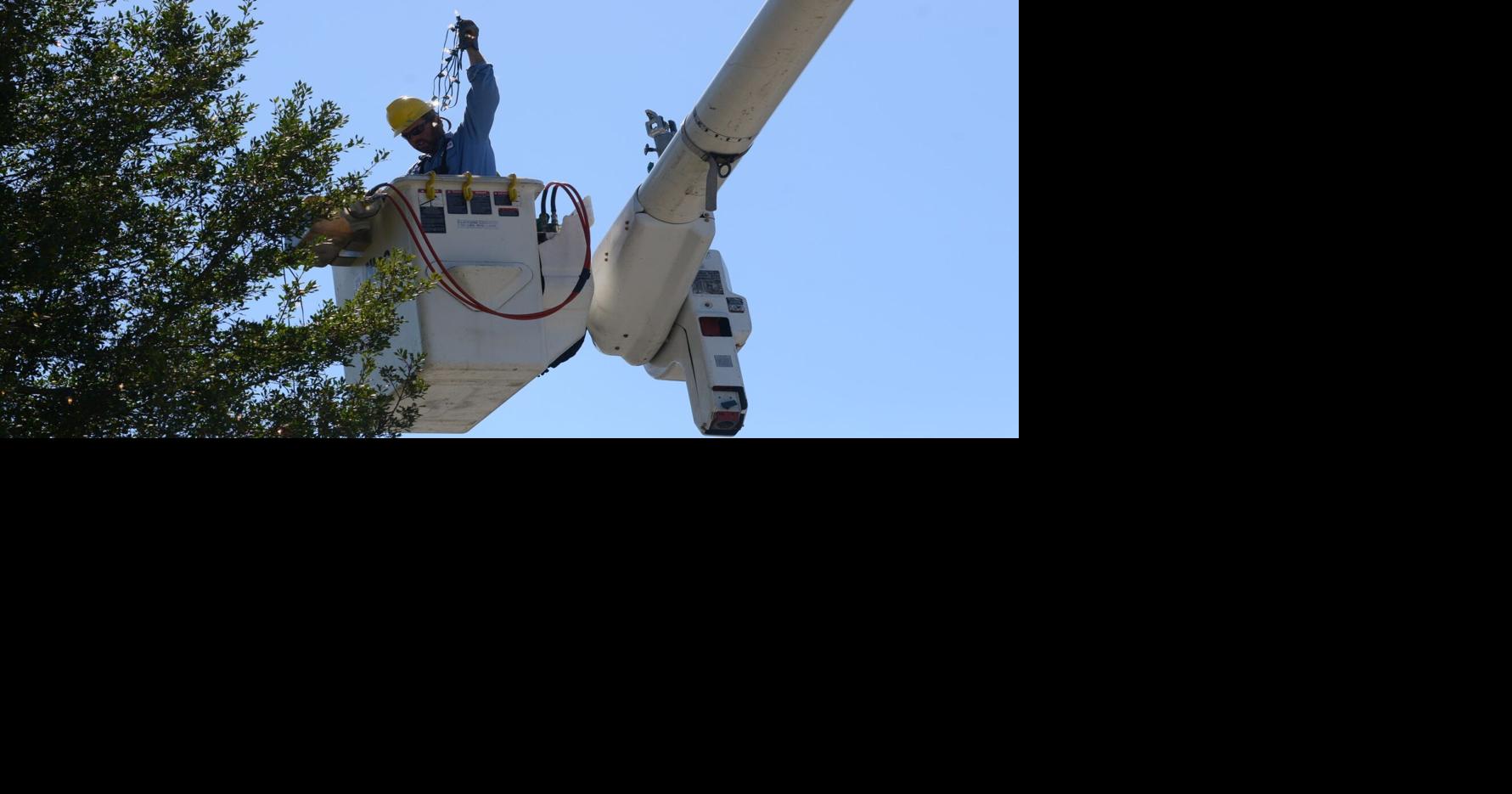 PHOTOS Christmas Tree lights on Queen Street Local News