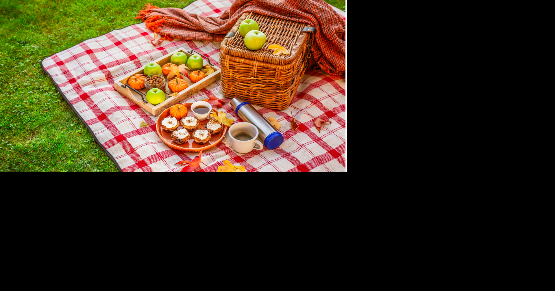 Neighbors in Need NEA to host 2026 Community Picnic July 18 in Jonesboro