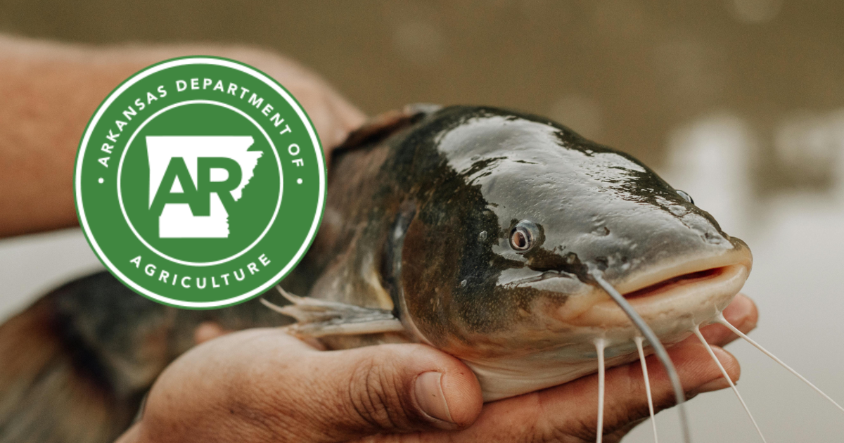 Arkansas Catfish Promotion Board funds research, marketing projects