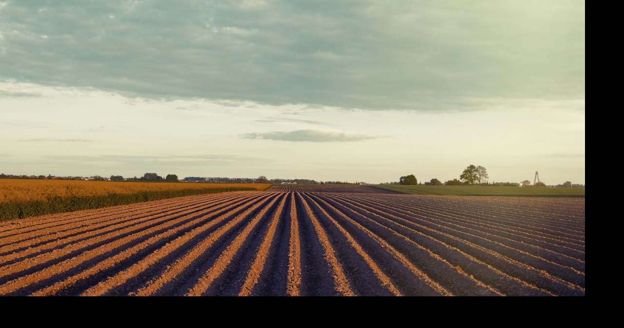 NE Arkansas chambers announce ag appreciation Expo scholarship recipients