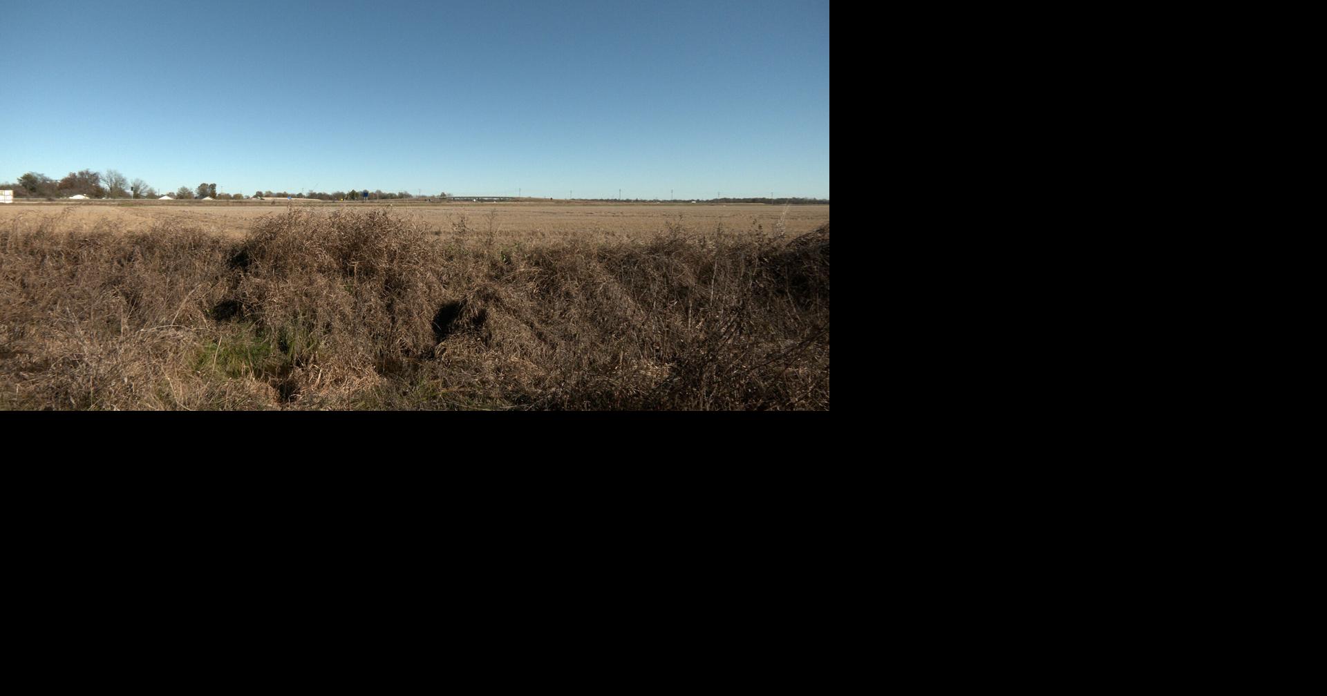 Steel plant to bring jobs, economic boost to Marked Tree