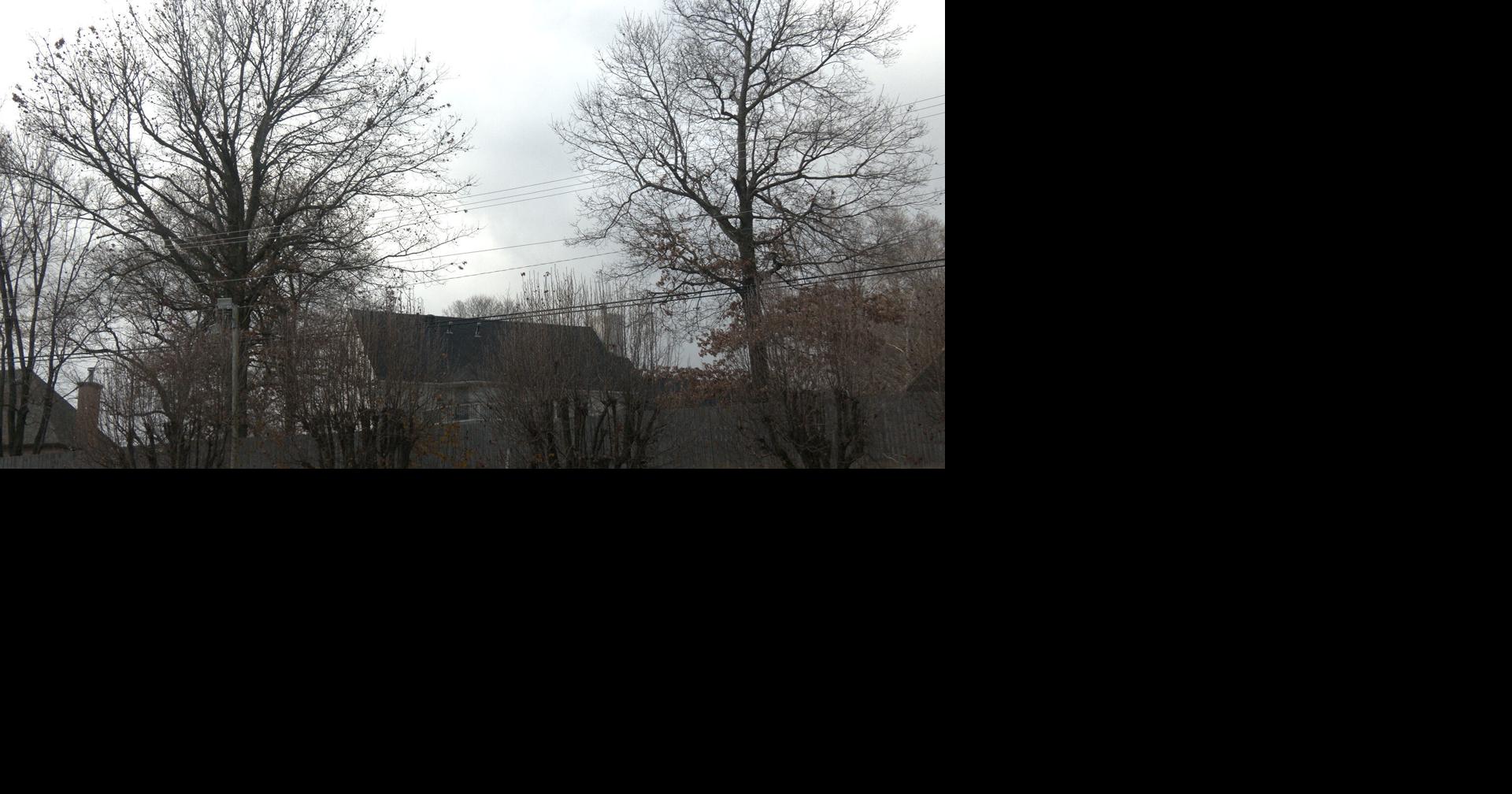 Record warmth brings springlike Christmas to Northeast Arkansas