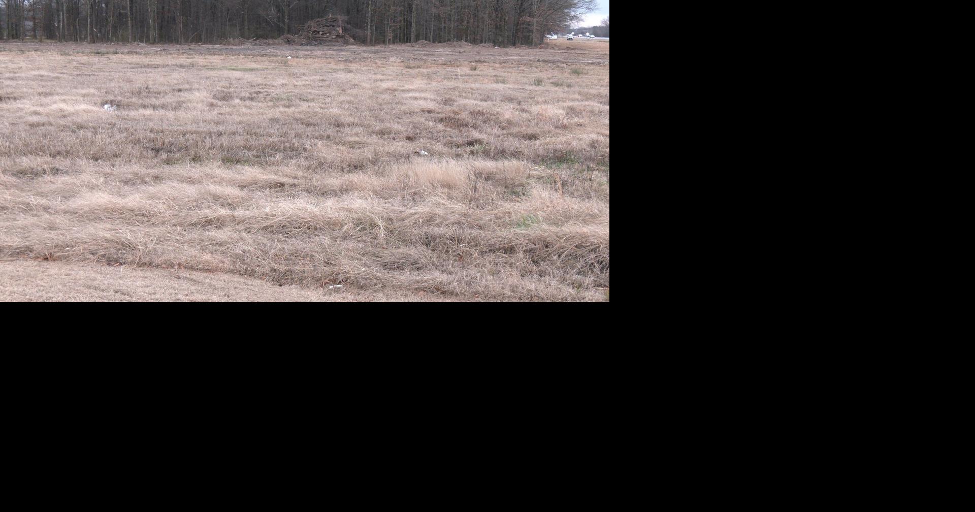 Wagner Medical Clinic, St. Bernards announce new clinic in Brookland