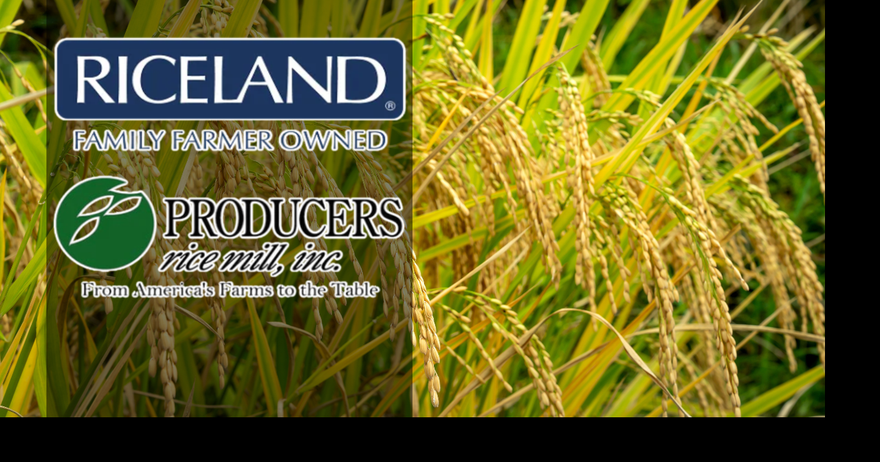 Arkansas rice leaders seek stronger federal support for struggling farmers