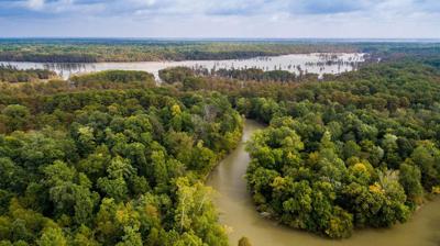 St. Francis Sunken Lands Wildlife Management Area (FILE)