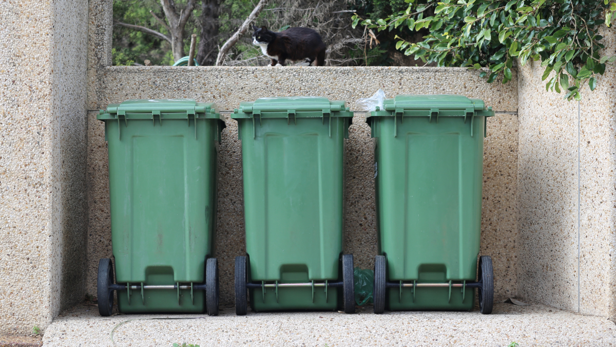 Jonesboro holiday sanitation schedule adjusted pickup days for