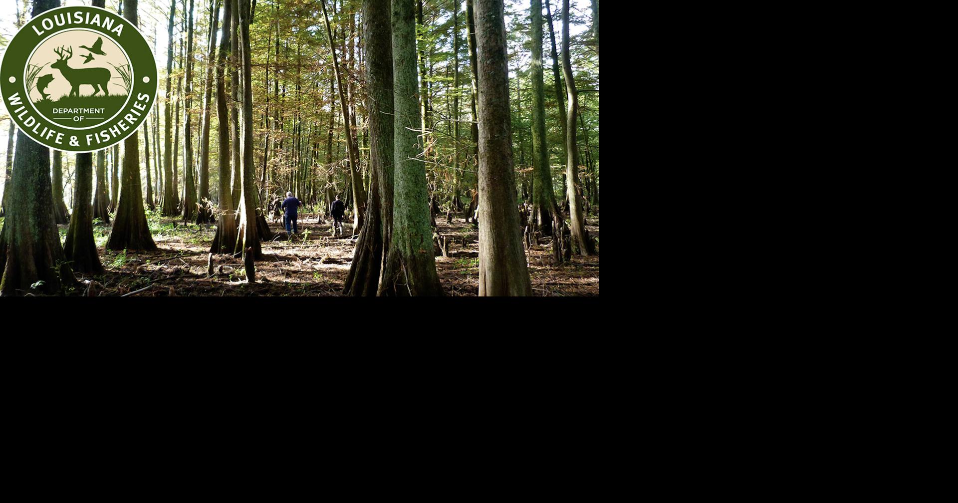 LWFC Ratifies DE Expanding Chronic Wasting Disease Area in East Central Louisiana