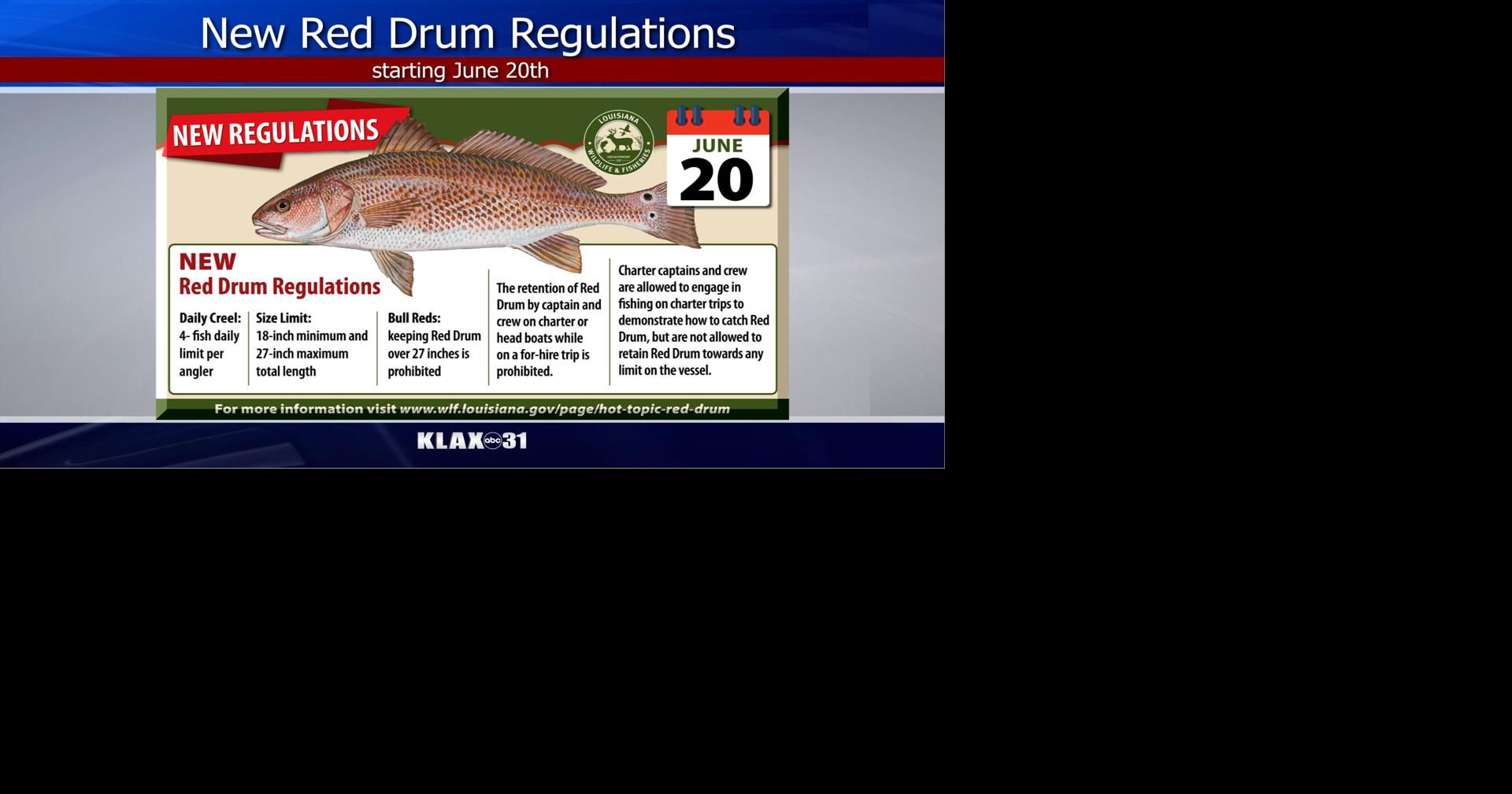 Louisiana's redfish limits changing | News | klax-tv.com