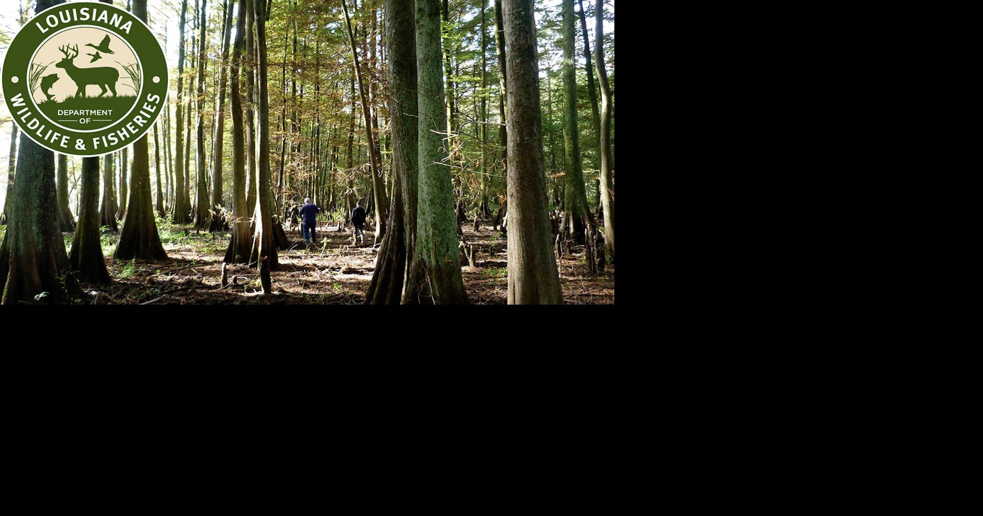 Louisiana Operation Game Thief, Inc. Issued Monetary Rewards at February Meeting